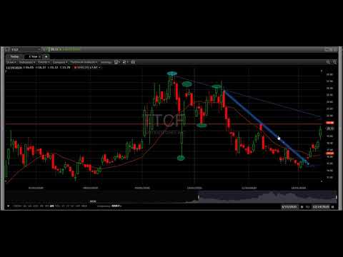TTCF levels 12/14