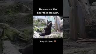 Kung Fu Bear 🐻🤣