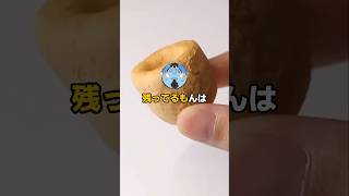 仲間がいない゛よ!!!!【2ch面白スレ】