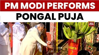 PM Narendra Modi Joins Pongal Celebrations At Union Minister L Murugan's Residence | India Today