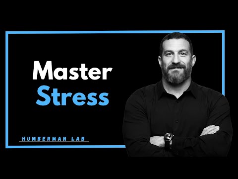 How To Master Your Stress || Andrew Huberman || #mentalhealthawareness #mentality #mentalhealth
