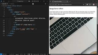 Modern Image Hover Techniques | Css & Html