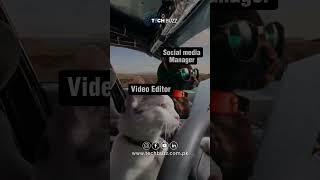 Master of the Cut: The Secret Life of an Expert Video Editor