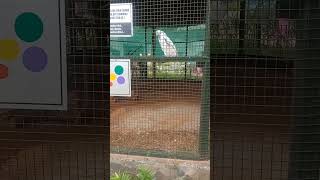 Guindy children's park #indianbikesdriving3dshinchancheatcose #gta #nobita #pubgmobile #cartoon