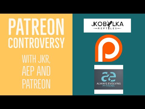 Justin Kobylka and Miguel Patreon Controversy - Not a big deal but let's discuss it - Ball Pythons