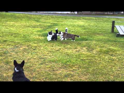 Boom meets his Uncle Thomas