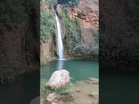 Alte Portugal 22.11.2024 #travel #trip