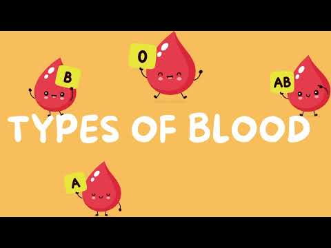 ATI TEAS 7 I  BLOOD- Complete Cardiovascular Review  PART 4