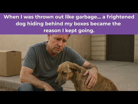 Thrown into the streets of Tucson, AZ… I didn't expect the dog hiding behind my boxes to be...