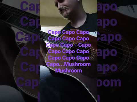 Everything is Capo