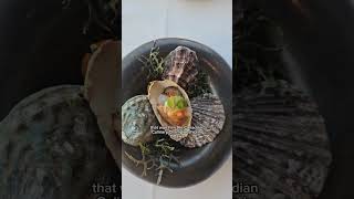 Tasting Menu at Five Sails