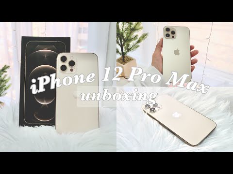 iPhone 12 Pro Max Unboxing (Gold, Graphite, 256gb, Customized iOS 14 Homescreen) | ItsDarylC