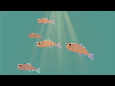 Decarbonization Reel 2020