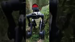 #mostusefullrobots #chinamade