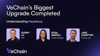 VeChain Hayabusa Deep Dive: Improved Tokenomics, StarGate Staking, DPoS & New Validators