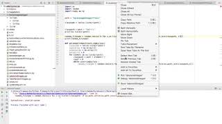 5.5 Coding our CustomDataGenerator with ImgAug - Get Images Randomly from File