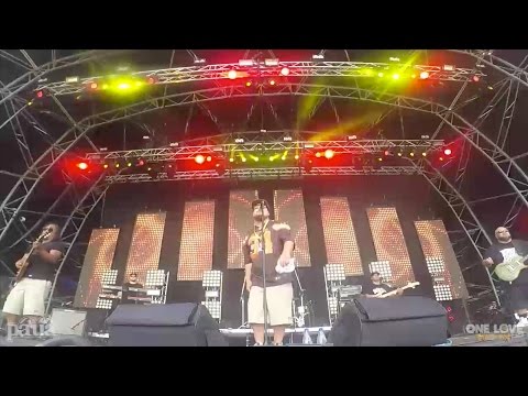 Paua  Live @ One Love NZ Festival 2016