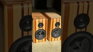 New Powered Bluetooth speakers. #diy #diyaudio #poweredspeaker