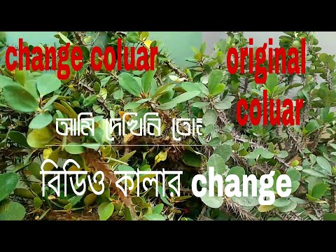 How to video colour change in bangla  ।।  bangla tutorial ।।