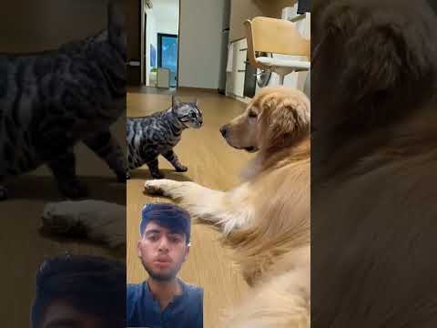 #funny #ytshort #subscribe #unfrez #100kvews