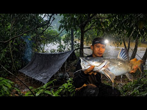 Wahau River Hulu Fishing Camp, Kalimantan Forest, Home of Baung Fish