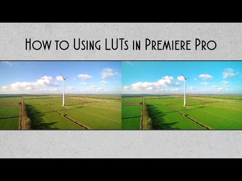 How to Using LUTs in Premiere Pro