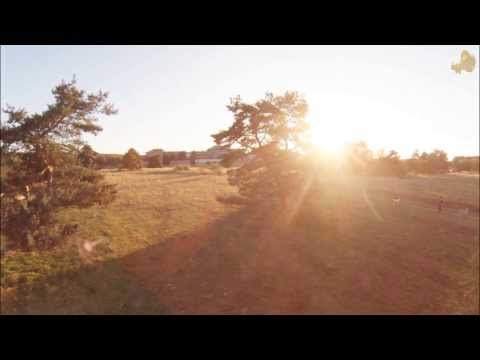 Test Zenmuse H3-2D Gimbal