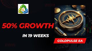 Gold Pulse Forex EA | Mql5 EA | Get Now Cracked Version in $15