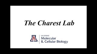 An Introduction to the Charest Lab - University of Arizona