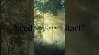 Need a Calm Start  #calmstart #forestmeditation #morningmeditation #relaxationzone