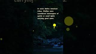 The Glow of Fireflies: Myths and Legends from Around the World