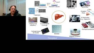 In Vitro Screening Approaches to Estimate Human Hepatic Responses to Xenobiotic Exposures