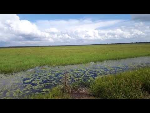 Memanjakan mata di sawah