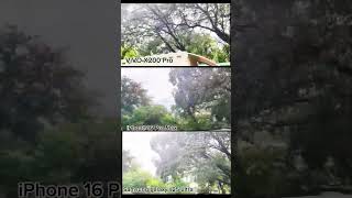 ViVO X200 Pro Vs Samsung Galaxy S25 Ultra Vs iPhone 16 Pro Max Photography Test Camera video test