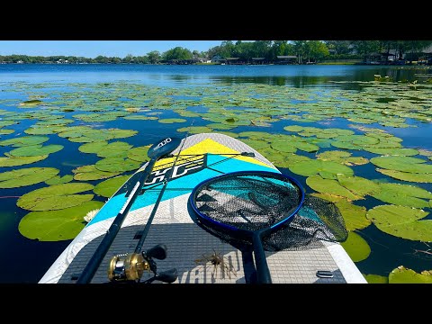 An Average Lake Day With NolesFishing