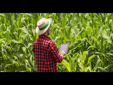 Farming with Social Media with Ho Chung