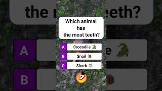 Which animal has the most teeth? #shorts #usa #quiz