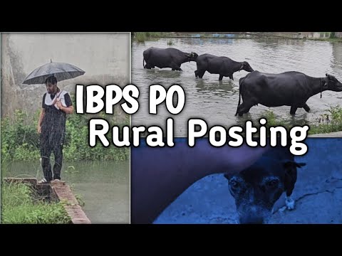 IBPS PO Vlog 😍 Rural Posting #banking #minivlog #ibpspo