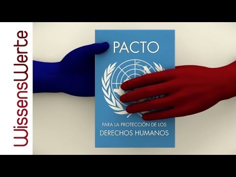 Enfoque Derechos Humanos: Derechos de la Mujer, ONG, Segunda Dimensión