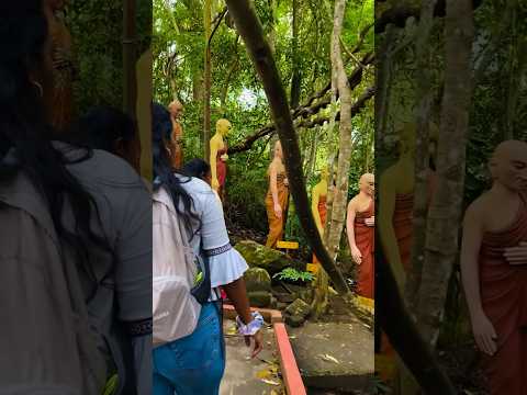 travel srilanka 😍😍😍temple hiking srilanka #travel #srilanka