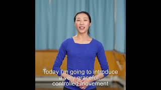 In this series’ sixth episode, Shen Yun dancer Chelsea Cai introduces us to the classical Chinese da