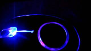 The Mouse Effect