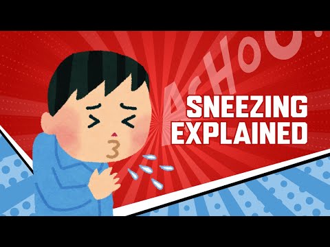 Ever wondered why you sneeze? | Sneezing explained