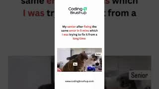 When Your Senior Fixes a Bug in 5 Minutes 😭 | Coding Meme | Developer Life