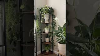 Beautiful  Plant Stand! #short #reel #scraftidea #craftidea #homedecor #craftyprojects