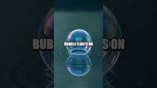 The Floating Bubble Experiment: A Lesson in Surface Tension