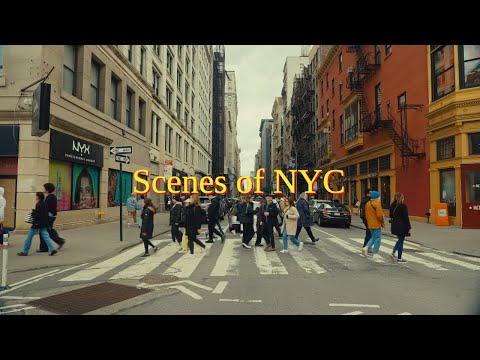 Scenes of NYC