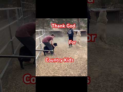 No way that just happened #love #farming #life #smalltownamerica