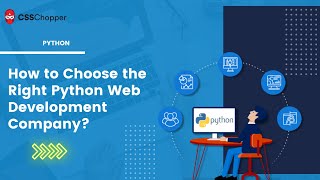 How to Choose the Right Python Web Development Company?