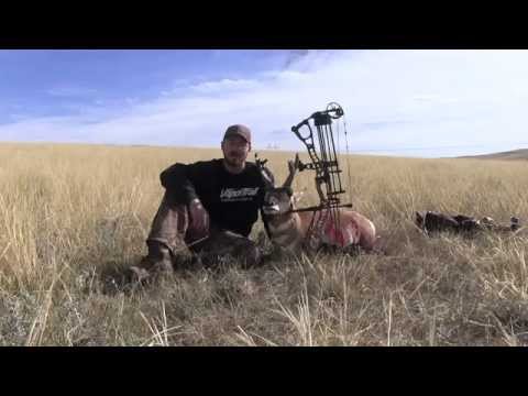 pronghorn bowhunt